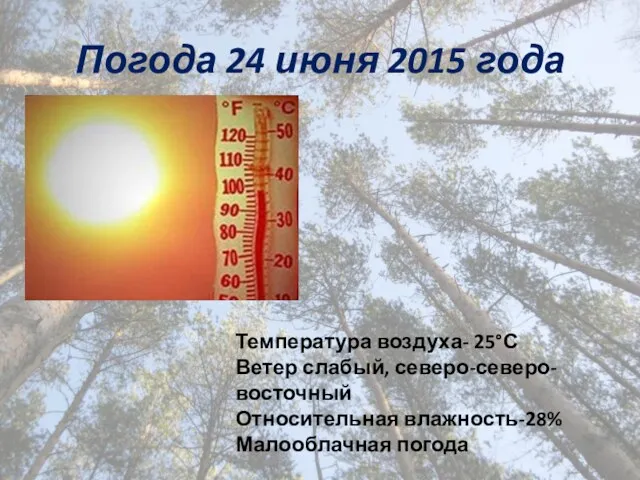 Погода 24 июня 2015 года Температура воздуха- 25°С Ветер слабый, северо-северо-восточный Относительная влажность-28% Малооблачная погода