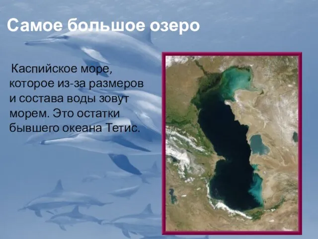 Самое большое озеро Каспийское море, которое из-за размеров и состава