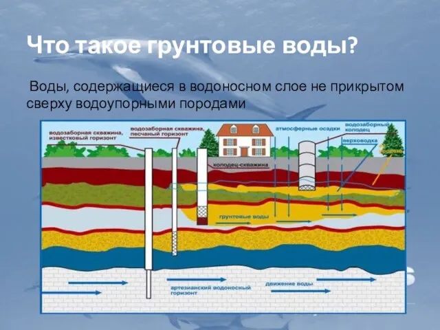 Что такое грунтовые воды? Воды, содержащиеся в водоносном слое не прикрытом сверху водоупорными породами