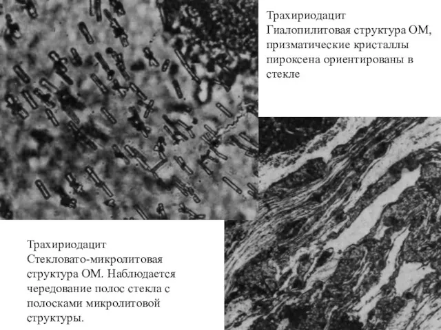 Трахириодацит Гиалопилитовая структура ОМ, призматические кристаллы пироксена ориентированы в стекле