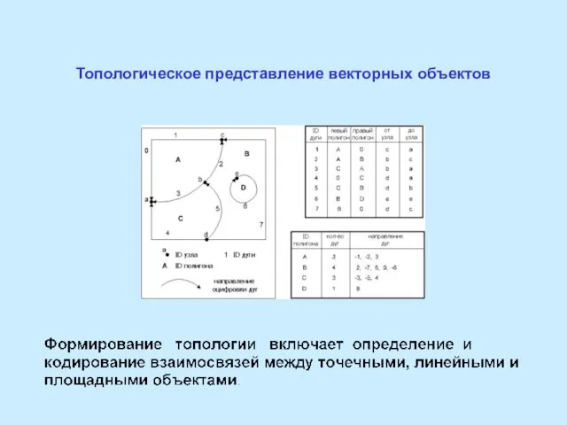 Топологическое представление векторных объектов