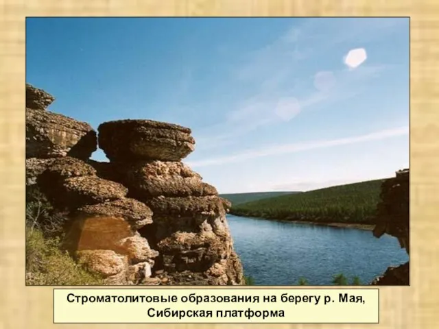 Строматолитовые образования на берегу р. Мая, Сибирская платформа