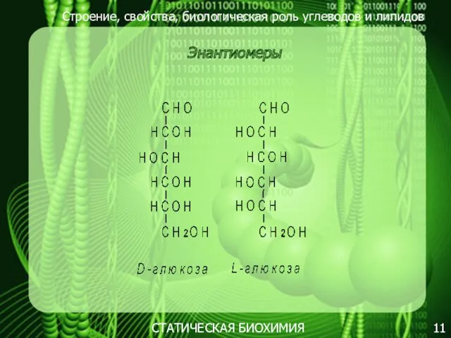 Строение, свойства, биологическая роль углеводов и липидов 11 Энантиомеры СТАТИЧЕСКАЯ БИОХИМИЯ