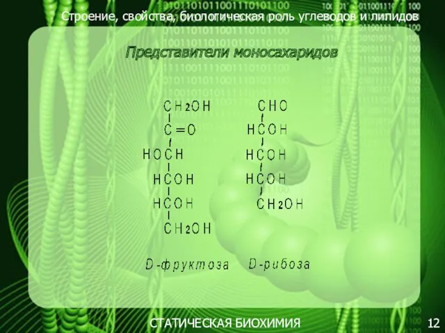 Строение, свойства, биологическая роль углеводов и липидов 12 Представители моносахаридов СТАТИЧЕСКАЯ БИОХИМИЯ