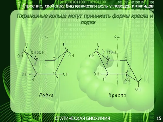 Строение, свойства, биологическая роль углеводов и липидов 15 Пиранозные кольца