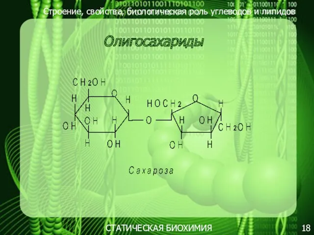 Строение, свойства, биологическая роль углеводов и липидов 18 Олигосахариды СТАТИЧЕСКАЯ БИОХИМИЯ