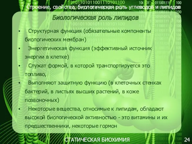 Строение, свойства, биологическая роль углеводов и липидов 24 Биологическая роль