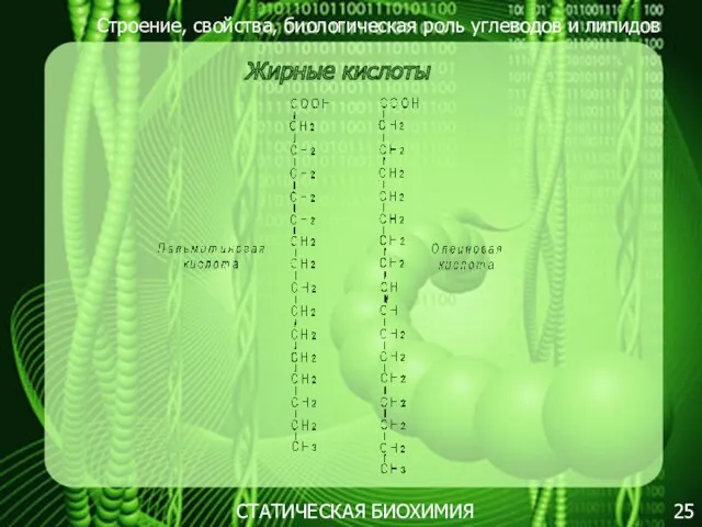 Строение, свойства, биологическая роль углеводов и липидов 25 Жирные кислоты СТАТИЧЕСКАЯ БИОХИМИЯ