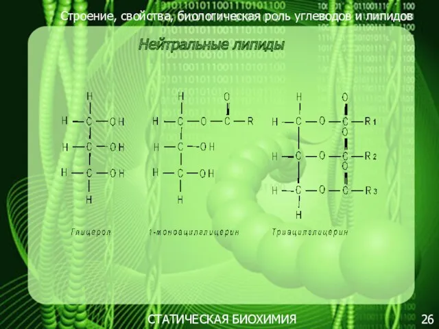 Строение, свойства, биологическая роль углеводов и липидов 26 Нейтральные липиды СТАТИЧЕСКАЯ БИОХИМИЯ