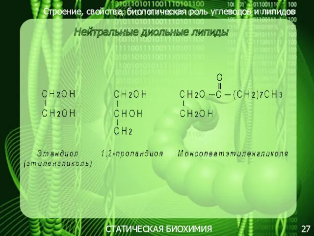 Строение, свойства, биологическая роль углеводов и липидов 27 Нейтральные диольные липиды СТАТИЧЕСКАЯ БИОХИМИЯ