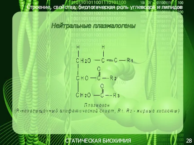 Строение, свойства, биологическая роль углеводов и липидов 28 Нейтральные плазмалогены СТАТИЧЕСКАЯ БИОХИМИЯ