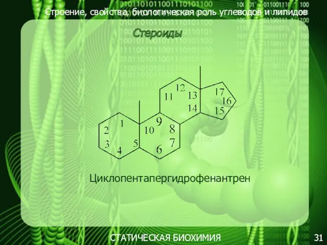 Строение, свойства, биологическая роль углеводов и липидов 31 Стероиды СТАТИЧЕСКАЯ БИОХИМИЯ Циклопентапергидрофенантрен