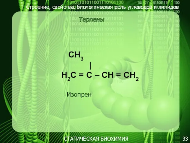 Строение, свойства, биологическая роль углеводов и липидов 33 Терпены СТАТИЧЕСКАЯ