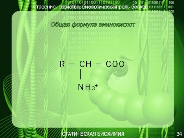 Строение, свойства, биологическая роль белков 34 Общая формула аминокислот СТАТИЧЕСКАЯ БИОХИМИЯ