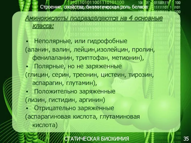 Строение, свойства, биологическая роль белков 35 СТАТИЧЕСКАЯ БИОХИМИЯ Аминокислоты подразделяются