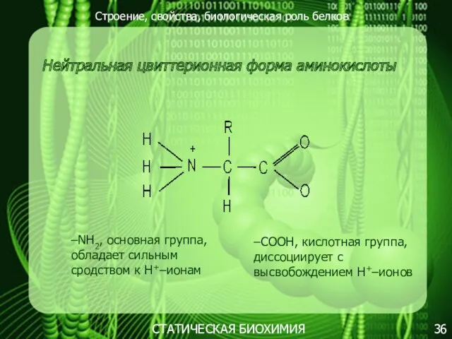 Строение, свойства, биологическая роль белков 36 СТАТИЧЕСКАЯ БИОХИМИЯ Нейтральная цвиттерионная