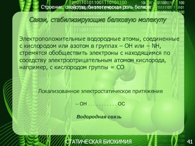 Строение, свойства, биологическая роль белков 41 СТАТИЧЕСКАЯ БИОХИМИЯ Связи, стабилизирующие