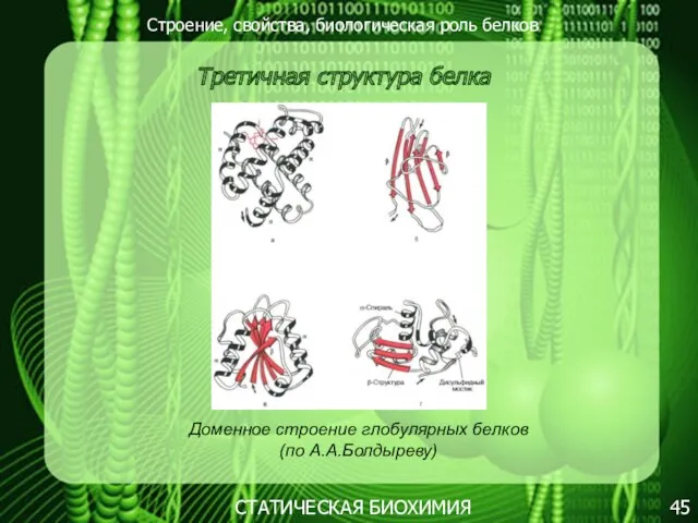 Строение, свойства, биологическая роль белков 45 СТАТИЧЕСКАЯ БИОХИМИЯ Третичная структура