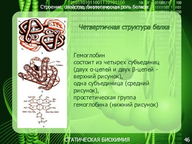 Строение, свойства, биологическая роль белков 46 СТАТИЧЕСКАЯ БИОХИМИЯ Четвертичная структура