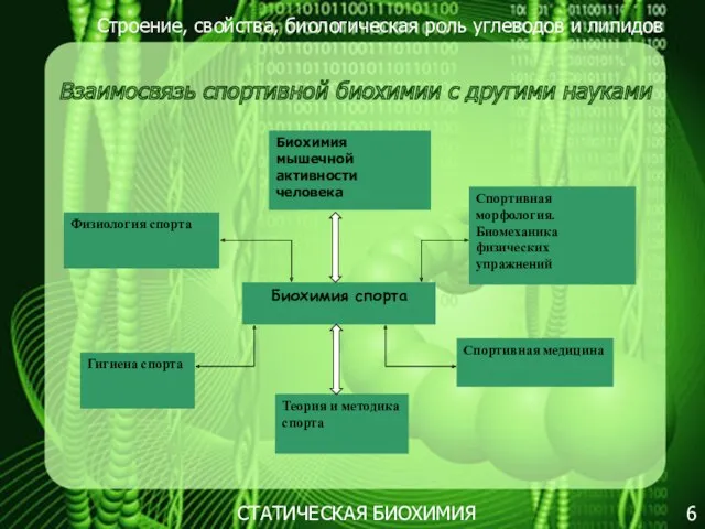 Строение, свойства, биологическая роль углеводов и липидов 6 Взаимосвязь спортивной