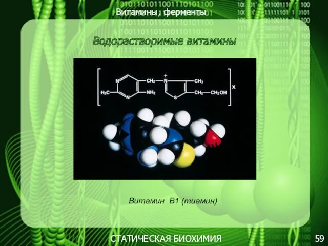 Витамины, ферменты 59 СТАТИЧЕСКАЯ БИОХИМИЯ Водорастворимые витамины Витамин В1 (тиамин)