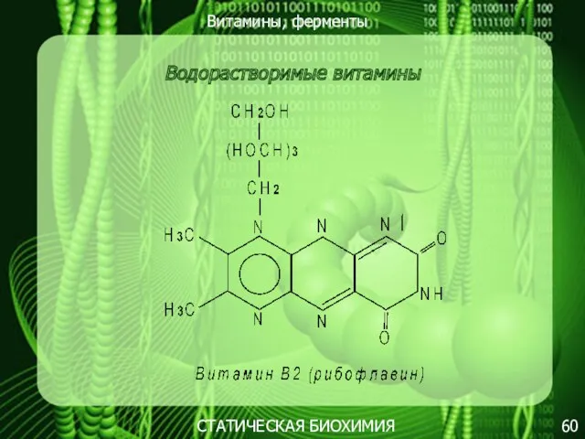 Витамины, ферменты 60 СТАТИЧЕСКАЯ БИОХИМИЯ Водорастворимые витамины