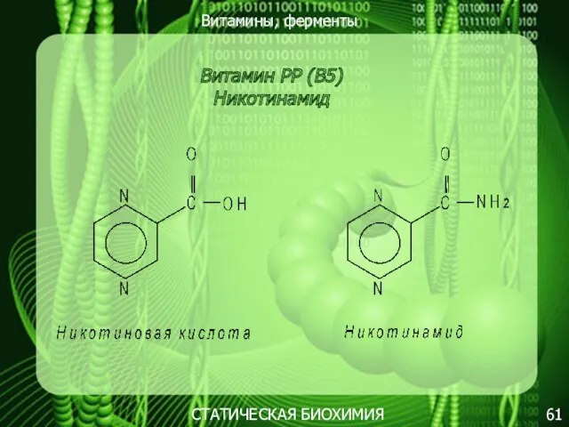 Витамины, ферменты 61 СТАТИЧЕСКАЯ БИОХИМИЯ Витамин РР (В5) Никотинамид