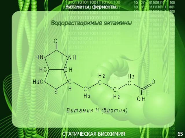 Витамины, ферменты 65 СТАТИЧЕСКАЯ БИОХИМИЯ Водорастворимые витамины