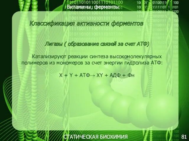 Витамины, ферменты 81 СТАТИЧЕСКАЯ БИОХИМИЯ Классификация активности ферментов Лигазы (