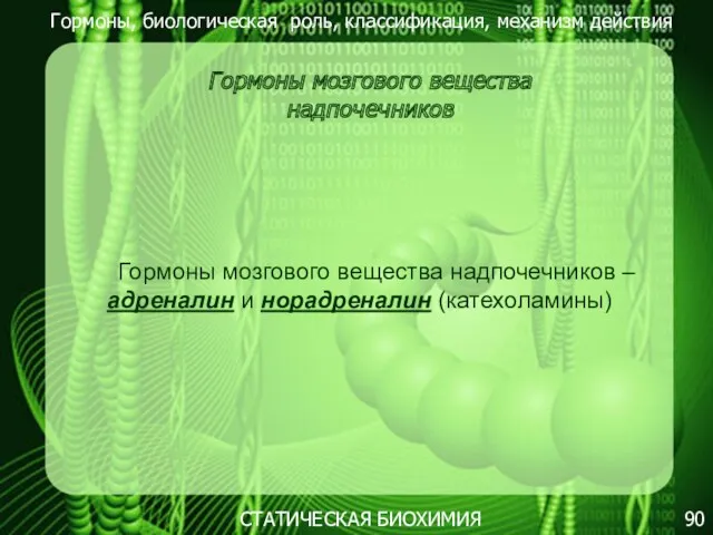 Гормоны, биологическая роль, классификация, механизм действия 90 СТАТИЧЕСКАЯ БИОХИМИЯ Гормоны