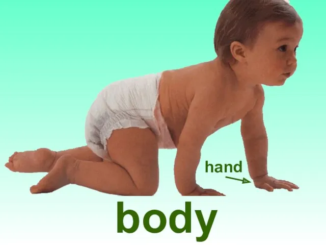 body hand