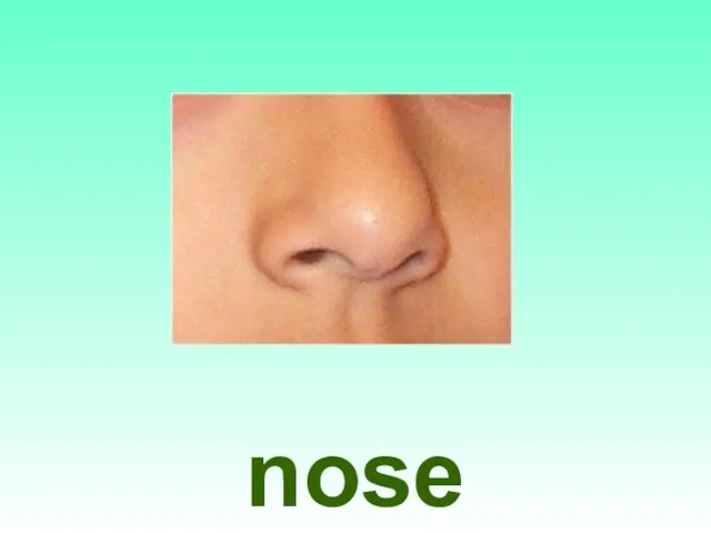 nose