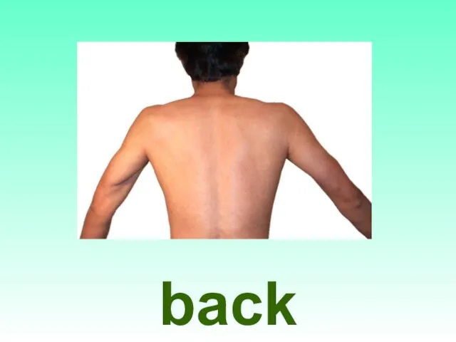 back