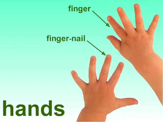 finger finger-nail hands