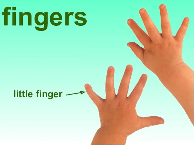 little finger fingers