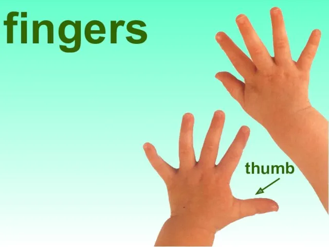fingers thumb