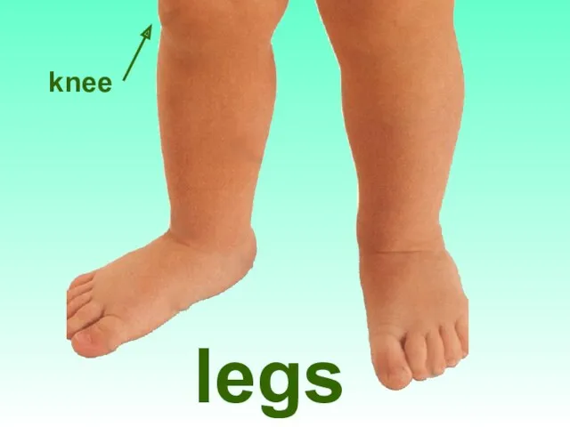 legs knee