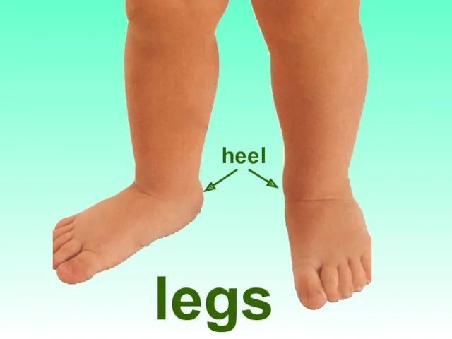 legs heel
