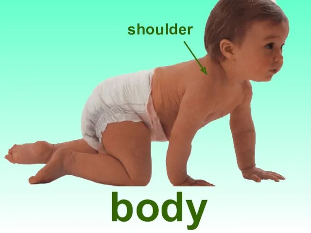 body shoulder
