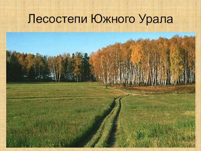 Лесостепи Южного Урала