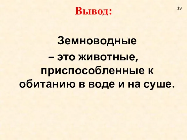 Вывод: Земноводные – это животные, приспособленные к обитанию в воде и на суше. 19