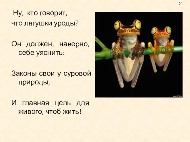 Ну, кто говорит, что лягушки уроды? Он должен, наверно, себе