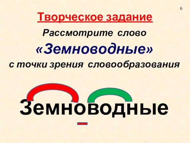 Творческое задание Рассмотрите слово «Земноводные» с точки зрения словообразования Земноводные 6