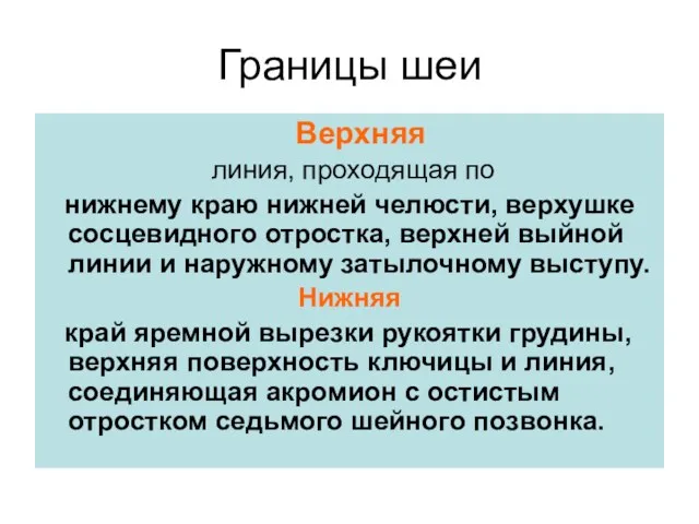 Верхняя линия, проходящая по нижнему краю нижней челюсти, верхушке сосцевидного