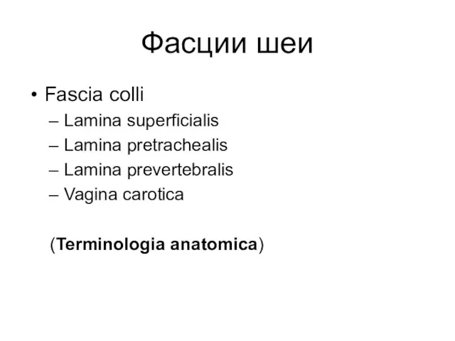 Фасции шеи Fascia colli Lamina superficialis Lamina pretrachealis Lamina prevertebralis Vagina carotica (Terminologia anatomica)