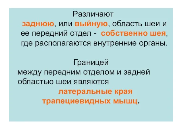 Различают заднюю, или выйную, область шеи и ее передний отдел