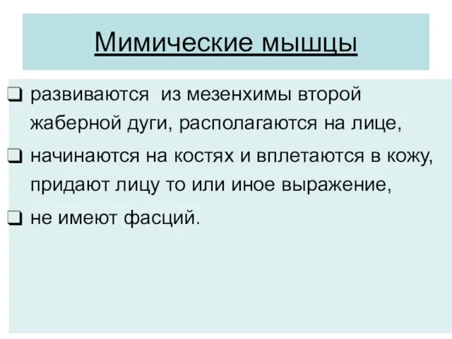 Мимические мышцы развиваются из мезенхимы второй жаберной дуги, располагаются на