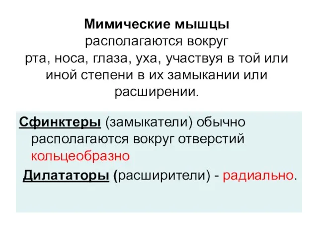 Мимические мышцы располагаются вокруг рта, носа, глаза, уха, участвуя в