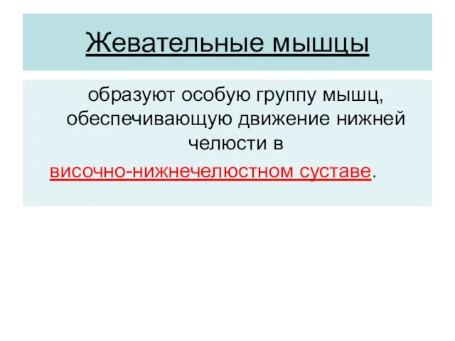 Жевательные мышцы образуют особую группу мышц, обеспечивающую движение нижней челюсти в височно-нижнечелюстном суставе.