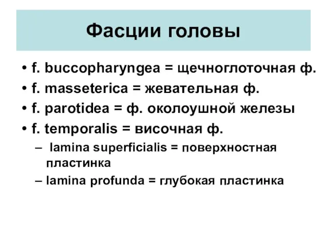 Фасции головы f. buccopharyngea = щечноглоточная ф. f. masseterica =